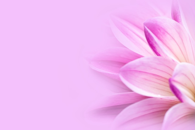 Alverandium közösség